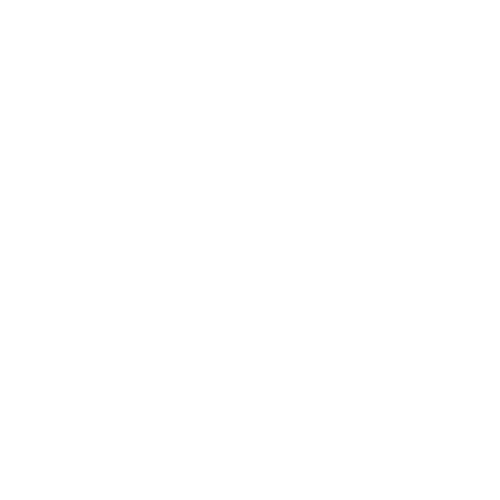 White Squirrel Concepts logo